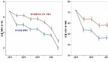 "교통사고 허리통증, '동작침법' 병행하면 통증 감소