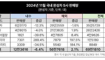 국내 완성차 5개社 11월 판매량 69만대…전년比 0.5%↑(종합)