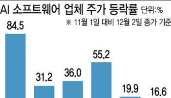 형보다 아우…반도체 지고, AI 소프트웨어株 랠리