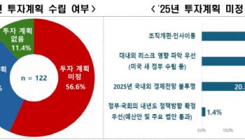 대기업 68% "내년 투자계획 없거나 아직 못 정했다"