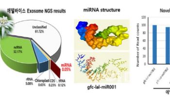 지에프씨생명과학, 에델바이스 유래 바이오마커 'miRNA' 특허 취득