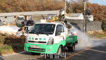 세종시 산란계 농장서 조류인플루엔자 발생…23만 마리 살처분