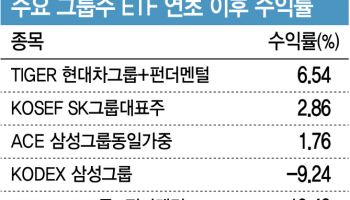 희비갈린 그룹주ETF…현대차 오를 때 포스코는 반토막