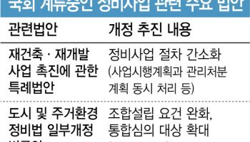 재초환 폐지, 재건축 촉진, 도시정비법…주택 공급 활성화 법안들 국회서 낮잠