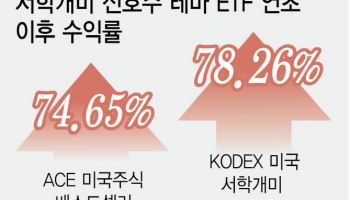 서학개미 따라만 샀어도…올 수익률 70%