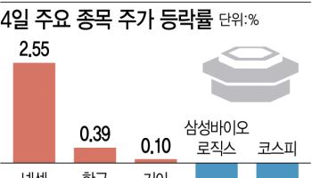 비상계엄 후폭풍에 고환율 수혜주로 피신