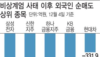 밸류업한다더니…계엄으로 다 까먹었다