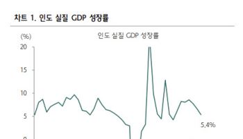 “인도, 성장률 쇼크 증시 영향 제한적”