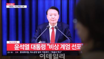 S&P “비상계엄 여파…韓 투자심리 정상화에 시간 걸릴 것”