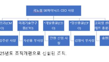 SK하이닉스, D램·낸드 '개발총괄' 통합…CIS는 연구원으로(종합)