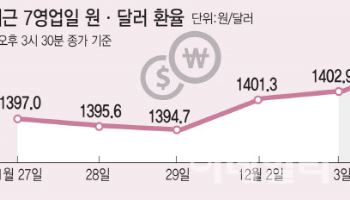 "피가 마른다" 기러기아빠 킹달러에 비명…비상계엄發 고환율 공포