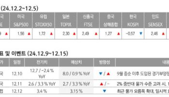 "연준의 금리 인하 기대감…美 산타랠리 이끄는 중"