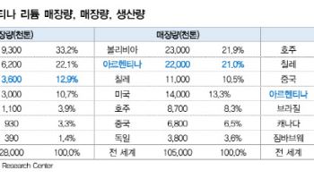 포스코홀딩스, 아르헨티나 리튬 사업 순항…CP1 상업생산 시작-대신