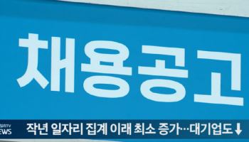 작년 일자리 집계 이래 최소 증가…대기업도↓