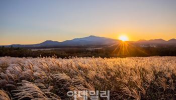 "제주 오름 여행 어때요?"…해비치 호텔 '비 더 오르머!' 패키지