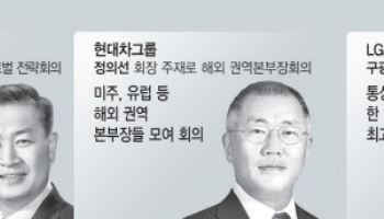 "한국은 안전한가?" 빗발치는 문의…재계 대응은?