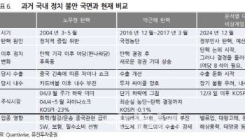 "정치 혼란 국면, 소프트웨어·필수소비 업종으로 대응"