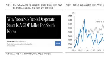 "‘코리아 디스카운트’의 늪으로…경기ㆍ증시부양책 필요"