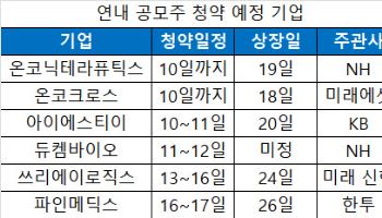 막차 달리는 IPO 시장…투심 냉각에 울며 청약 돌입