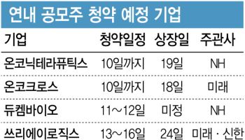 막차 달리는 IPO 시장…투심 냉각에 울며 청약 돌입