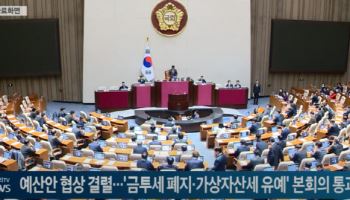 예산안 협상 결렬...'금투세 폐지·가상자산세 유예' 본회의 통과