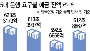 비상계엄 사태·탄핵 정국에 불안해진 투자심리…돈 갈 곳 잃어