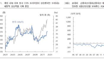 "탄핵정국 장기화, 경기 하방 압력·원화 약세로 작용…외환시장 불안 확대"