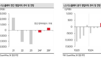 LG디스플레이, 실적성장·재무구조 개선…내년 턴어라운드 전망-SK