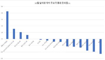 정국 불안에 달러 반등까지…지하까지 내려간 원화 가치