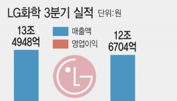 [마켓인]석화 업황 부진…무디스, LG화학 신용등급 Baa1으로 하향