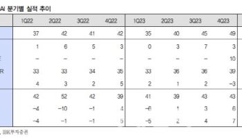 비큐AI, 적자 확대로 실적 개선 시기 미지수-IBK