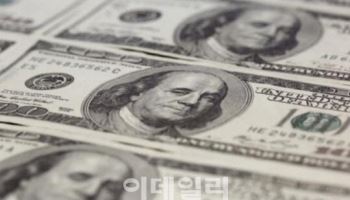 美소비자물가 예상 부합…환율 1429원으로 하락 출발