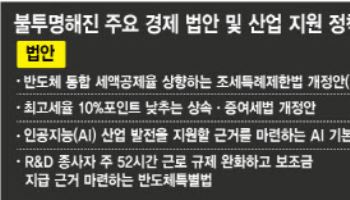 산업지원법 줄줄이 뒷전으로…"이러다 글로벌 경쟁 밀린다"