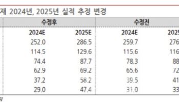 PI첨단소재, 지금이 바닥…목표가·투자의견↑-BNK