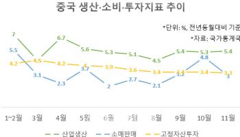 광군제에도 中 11월 소비 3% 증가 그쳐…내수 부진 심화