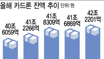 탄핵 정국에…카드사 수수료 개선 뒷전 우려