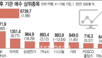 계엄·탄핵정국에 나홀로 매수한 기관…수익률 ‘쏠쏠하네’