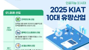 '전력반도체·AI헬스케어'…韓 경제 책임질 10대 유망산업은