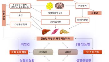 임수 교수, ‘대사증후군’ 최신 지견 집대성한 종설논문 네이처 리뷰에 발표