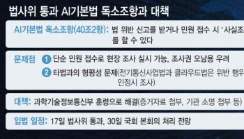 [단독] AI기본법 '신고만으로 조사' 독소조항, 훈령으로 해결…30일 본회의 통과