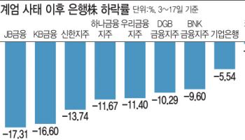 계엄령에 제일 놀란 '은행주'…원·달러 환율 탓 한파 지속