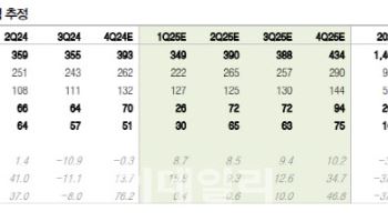 나스미디어, 4Q 광고 경기 침체…목표가↓-DB