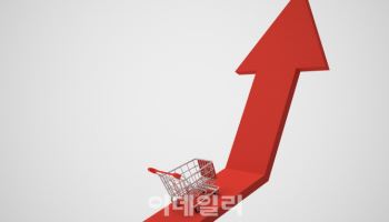 물가 오를때 저소득층 고통 더 심해… 인플레도 '양극화'