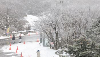 제주 산지에 최고 55㎝ 눈 쌓여…한라산 입산 통제