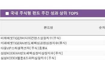 매파 FOMC 충격…하락장 속 선방한 미디어·반도체[펀드와치]