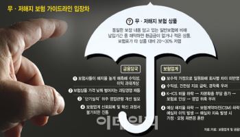 무해지 보험 규제 예외 적용 한다더니…대주주면담 하겠다는 금감원