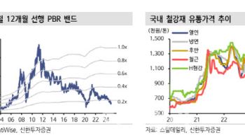 현대제철, 4분기 실적 부진 전망...목표주가 하향-신한