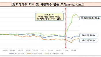 계엄 선포 후 정치테마주 기승…금감원, 특별단속반 가동