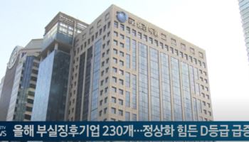 올해 부실징후기업 230개…정상화 힘든 D등급 급증