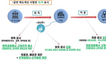 ‘자사주 마법’에 제동…인적분할 시 자사주 신주배정 제한